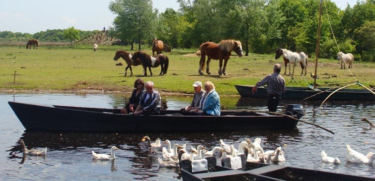 Visite en bateau